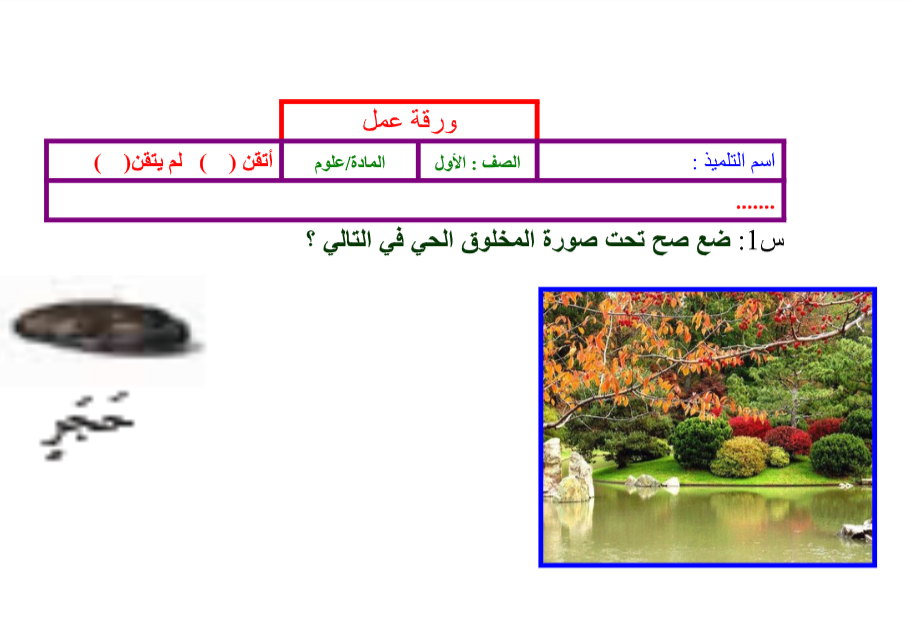 اوراق عمل علوم صف اول الفصل الثاني