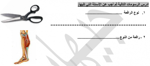 بنك أسئلة الروافع الصف السادس علوم اعداد جيهان محب مدرستي الكويتية