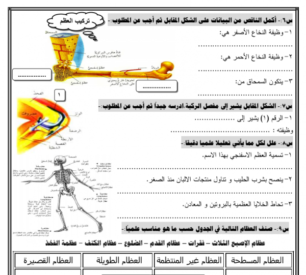 اوراق علوم تاسع