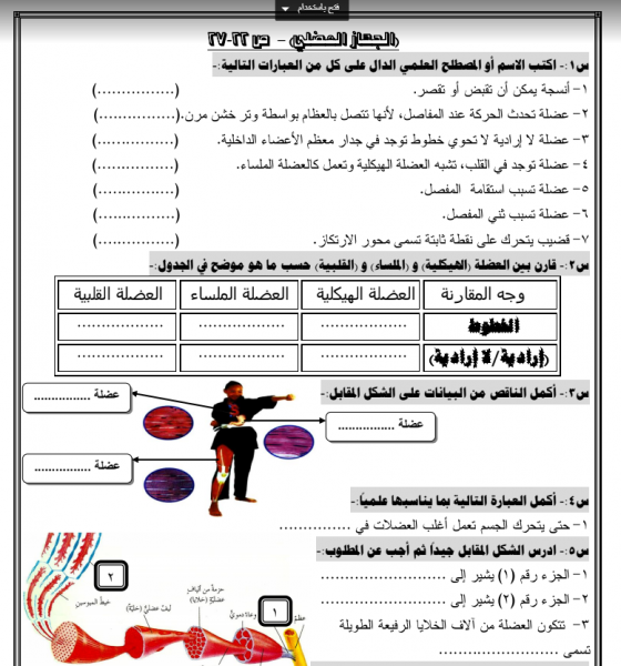 اوراق عمل للتاسع علوم