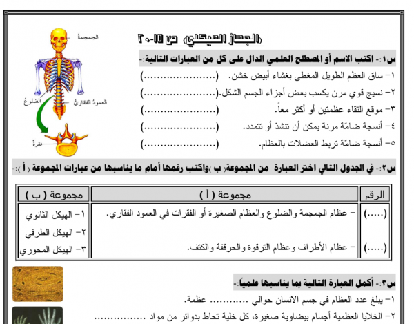  حل جزئي علوم للصف تاسع