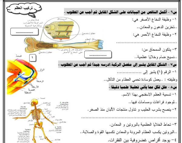 تدريبات علوم تاسع 