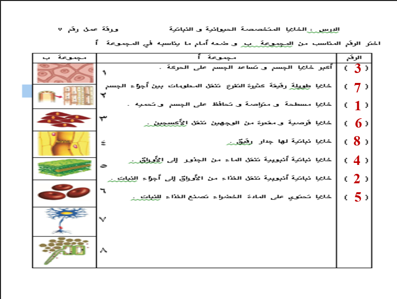 حل اوراق عمل علوم الصف السادس الفصل الثاني