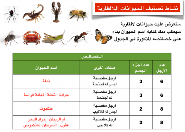 مذكرة الاختبار العملي اعداد نورة الحميدي