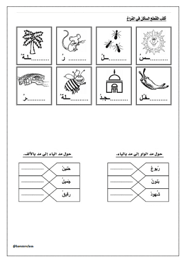 ورقة عمل 8 لغة عربية للصف الأول الفصل الثاني