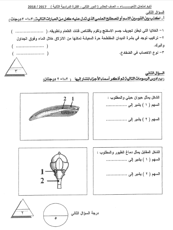 مذكرة امتحانات الاحيياء للصف العاشر