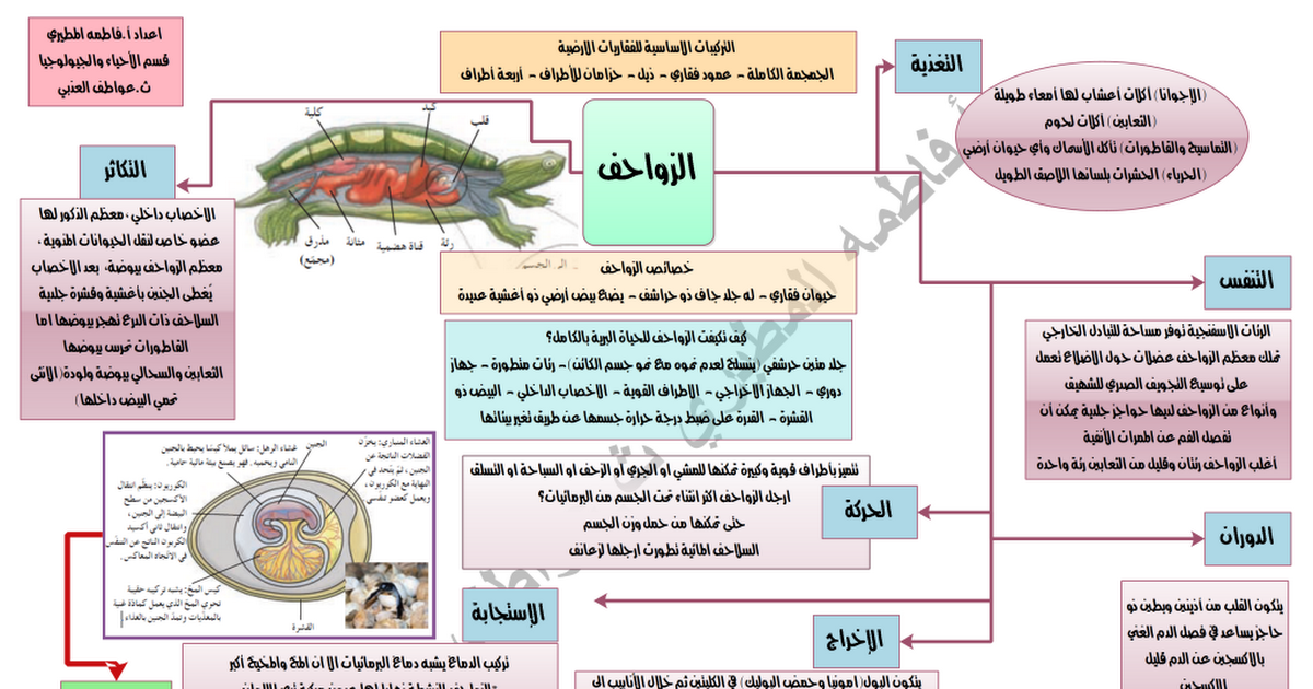 الخريطة الذهنية للزواحف احياء عاشر الفصل الثاني مدرستي الكويتية