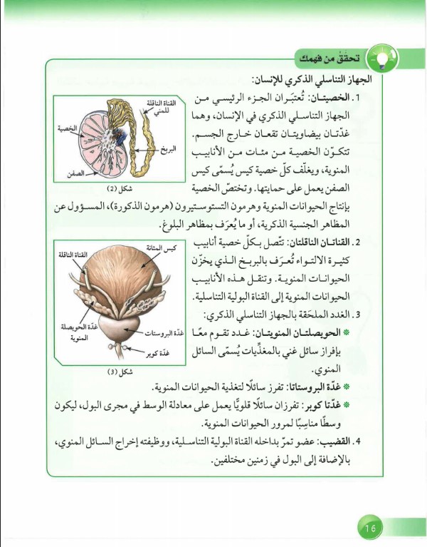 حل كتاب العلوم تاسع الوحدة الاولى الفصل الاول 2019-2020