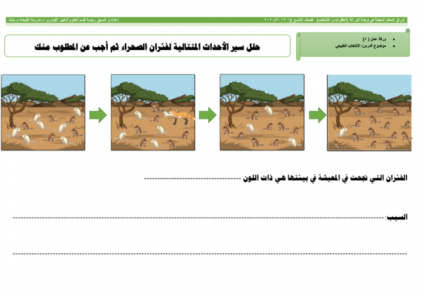 أوراق عمل وحدة الطفرات علوم تاسع