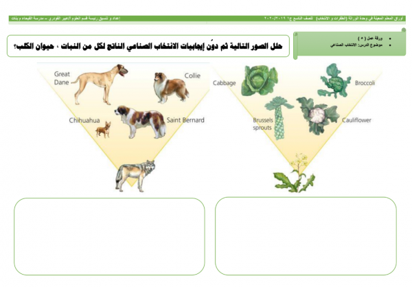  وحدة الطفرات لمادة العلوم للصف التاسع