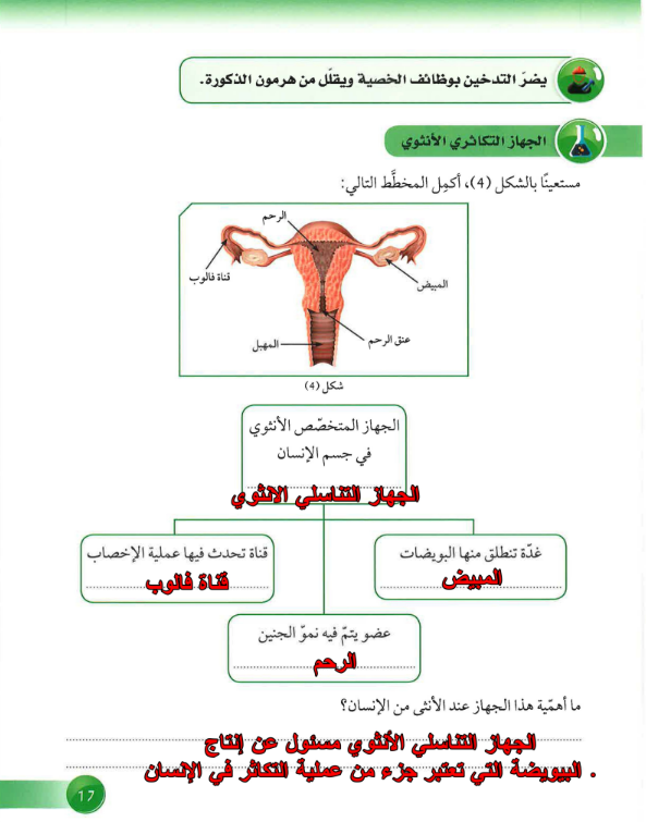 حل كتاب العلوم للصف التاسع كفايات الفصل الاول