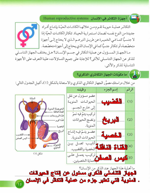 حل كتاب العلوم للصف التاسع كفايات الفصل الاول