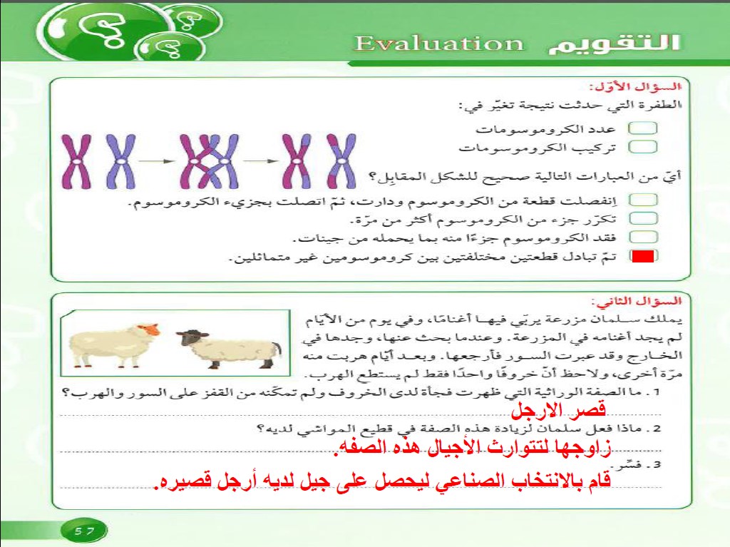 حل تقويم الطفرات علوم 2020 للصف التاسع الفصل الاول