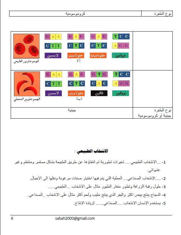 حل مذكرة الوراثة 2020 علوم الصف التاسع فصل اول استاذ sabah