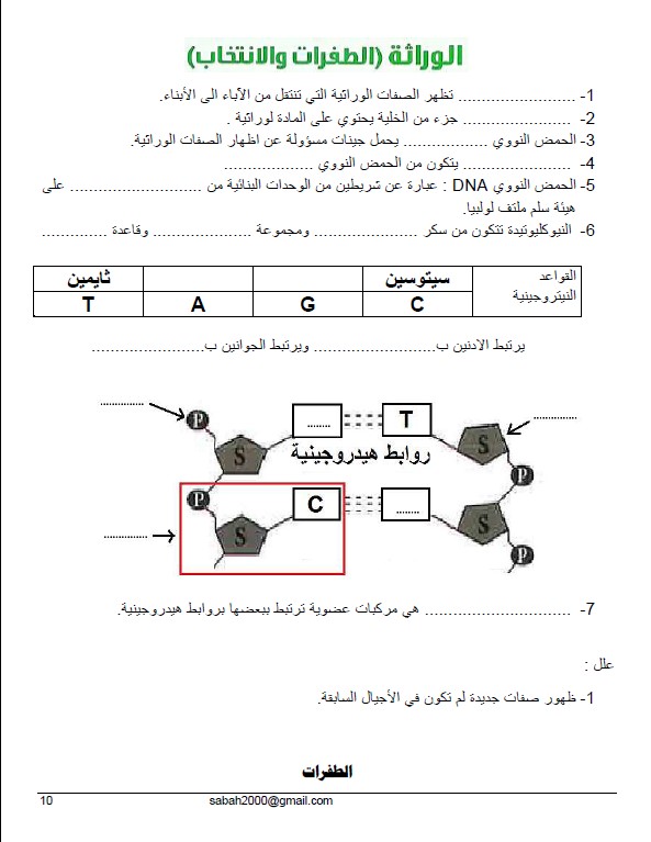 مذكرة علوم غير محلولة للصف التاسع الفصل الاول