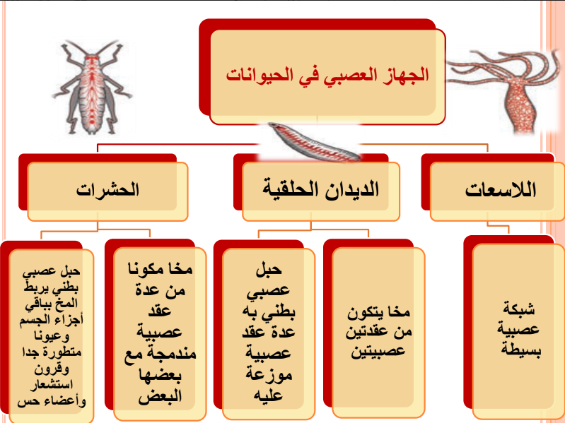 خرائط مفاهيم احياء للصف الثاني عشر الفصل الاول