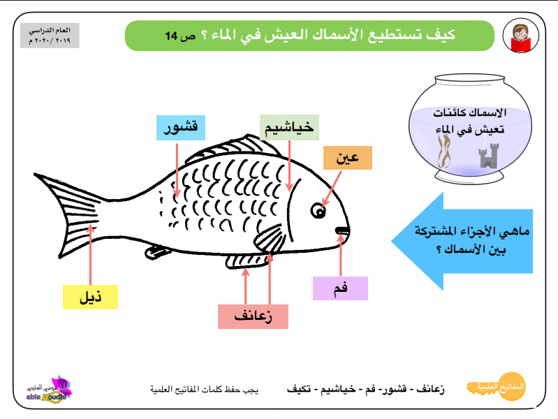 الصف الثالث ملخص علوم للفصل الاول المعلمة موضي العتيبي