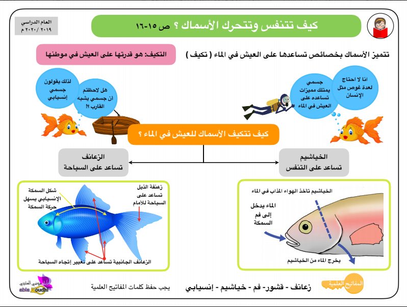 الصف الثالث ملخص علوم للفصل الاول المعلمة موضي العتيبي