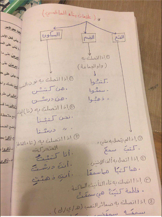تشجيرات درس بناء الافعال عربي للصف الثامن اعداد احمد عشماوي