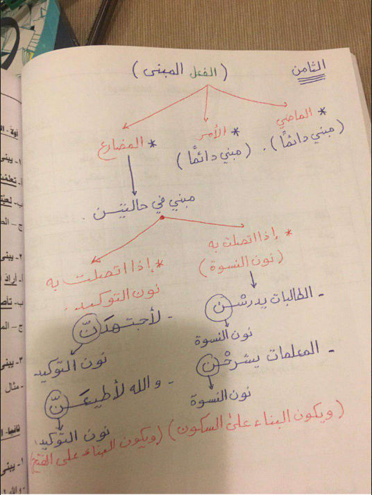 تشجيرات درس بناء الافعال عربي للصف الثامن اعداد احمد عشماوي