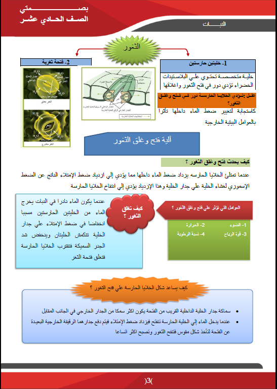 مذكرة أحياء الصف الحادي عشر الفصل الأول إعداد عائشة المطيري