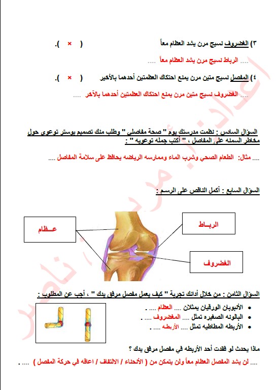 حل مذكرة الوحدة الثالثة علوم الصف الخامس الفصل الأول إعداد مريم بن ناصر