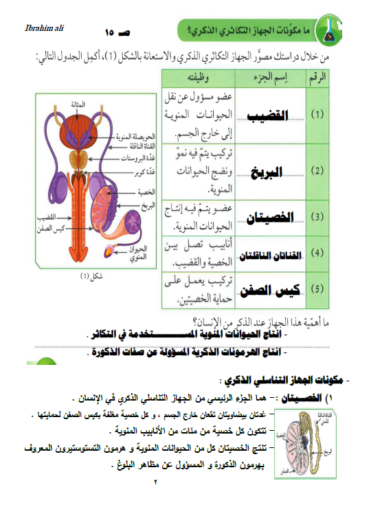 تلخيص علوم التكاثر الصف التاسع الفصل الأول إعداد ابراهيم علي