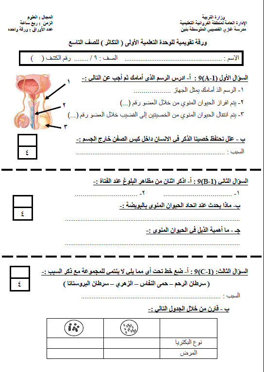 تسمى عملية اندماج الحيوان المنوي بالبويضة بـ