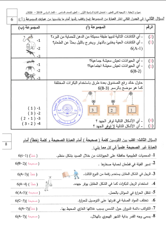 نموذج الإجابة علوم الصف السادس الفصل الأول منطقة مبارك الكبير التعليمية