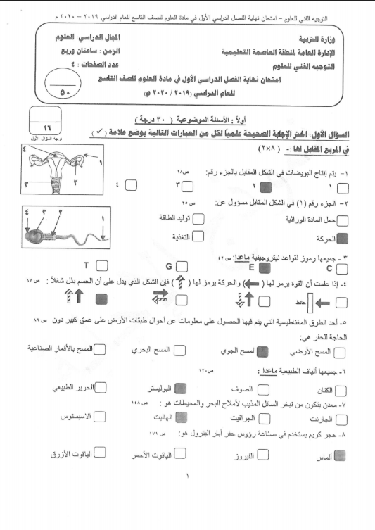 نموذج الإجابة علوم الصف التاسع الفصل الأول منطقة العاصمة التعليمية