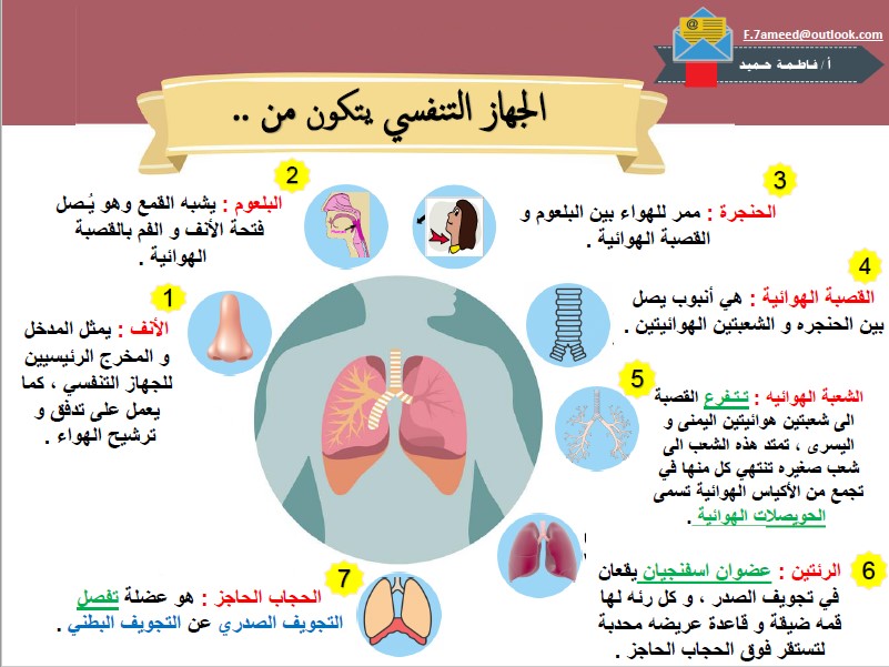 انفوجرافيك علوم الصف الثامن الفصل الثاني المعلمة فاطمة حميد