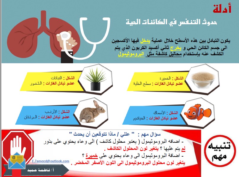 انفوجرافيك علوم الصف الثامن الفصل الثاني المعلمة فاطمة حميد