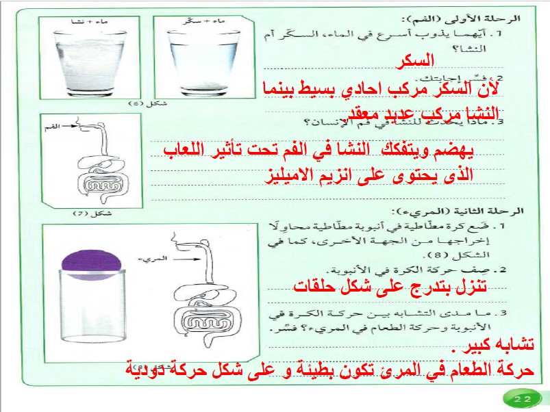 حل وحدة الجهاز الهضمي علوم للصف التاسع فصل ثاني 2019-2020