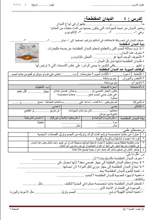 أوراق عمل أحياء الصف العاشر الفصل الثاني