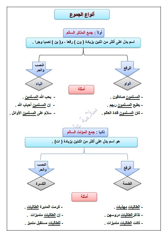 عالم جمع مذكر سالم كلمة اجمع اجمع كلمة